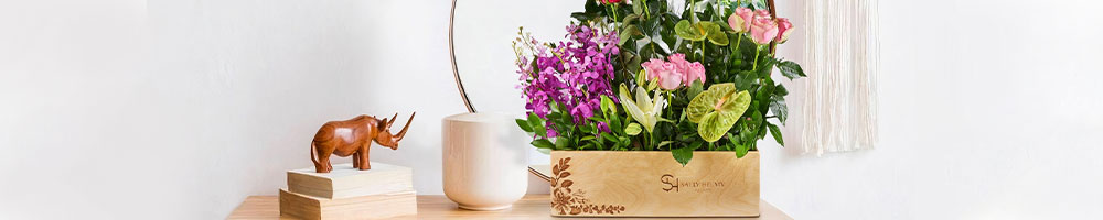 Sally Helmy Coupons Sally Helmy Coupons