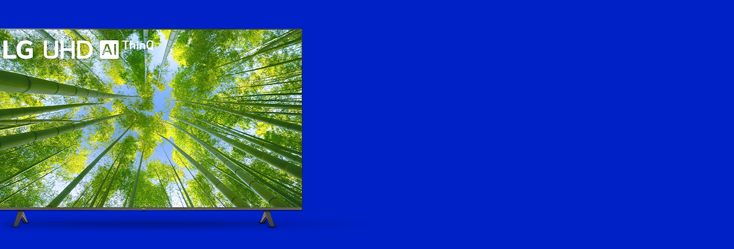 تلفزيون سمارت إل جي 60 بوصة، دقة 4K UHD